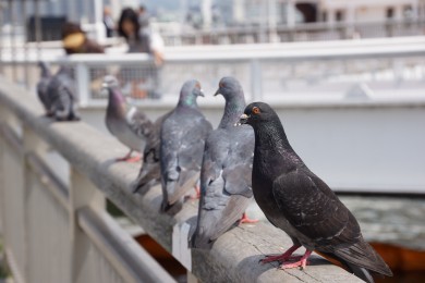 ひとときの休憩・・・・