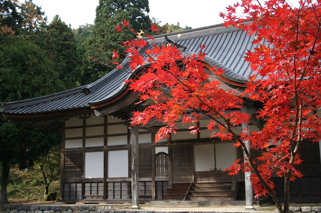 秋の興聖寺
