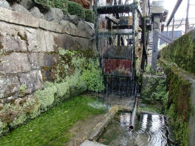 生水の郷『針江』の水車